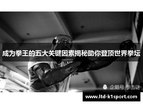 成为拳王的五大关键因素揭秘助你登顶世界拳坛