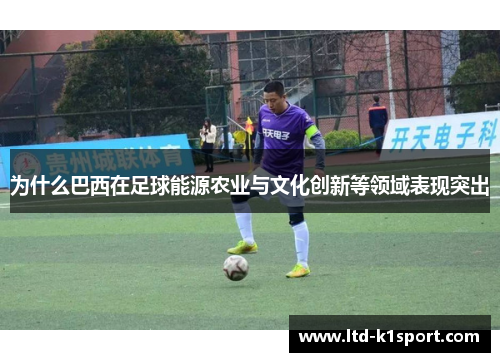 为什么巴西在足球能源农业与文化创新等领域表现突出