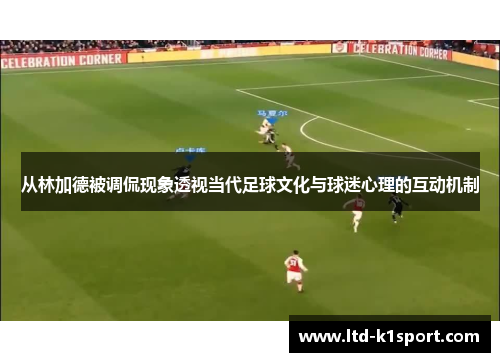 从林加德被调侃现象透视当代足球文化与球迷心理的互动机制